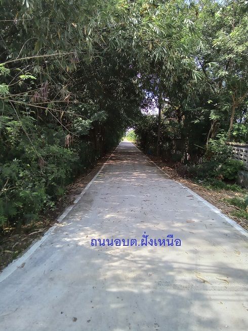 ขายที่ดิน 39 ไร่ คลอง 12 หนองเสือ ติดถนน 4 ด้าน พร้อมสวนปาล์ม