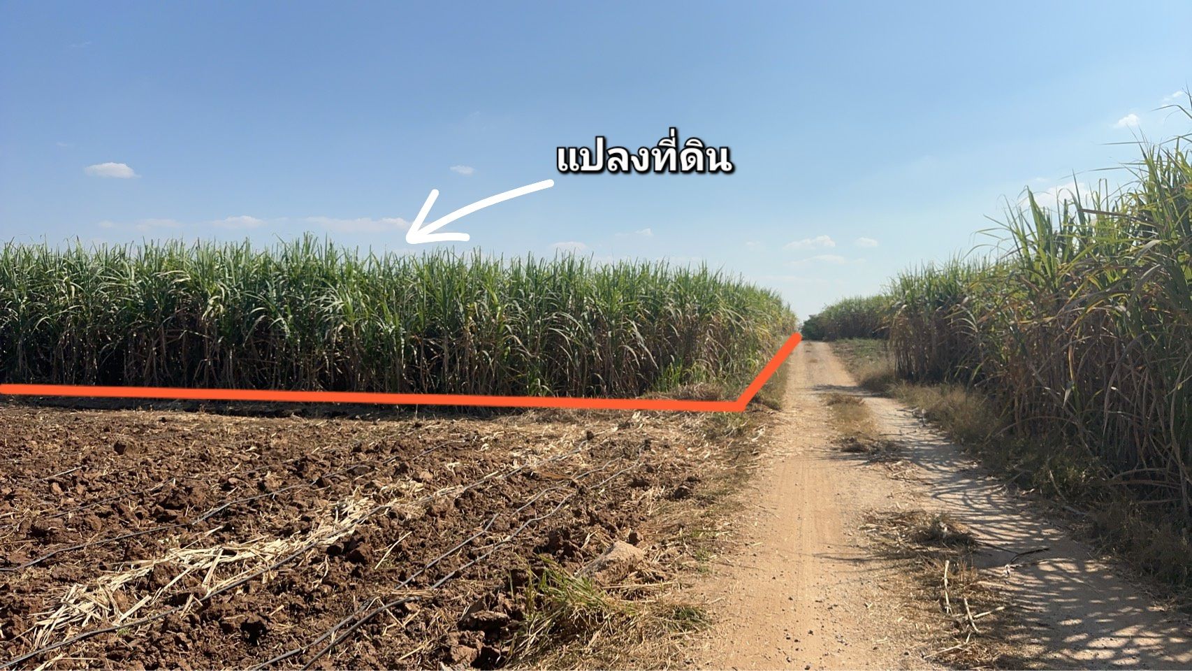ขายที่ดินศักยภาพสูง รองรับอุตสาหกรรมเหมืองหิน จังหวัดเลย เนื้อที่ 79 ไร่