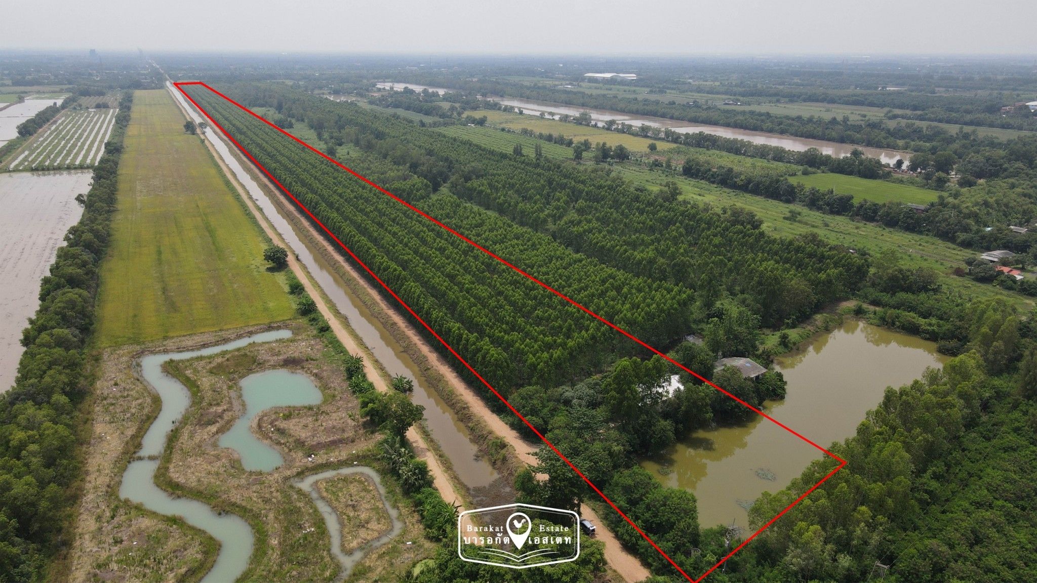 แปลงใหญ่ ปทุมธานี ที่สวย ใกล้มหาวิทยาลัย