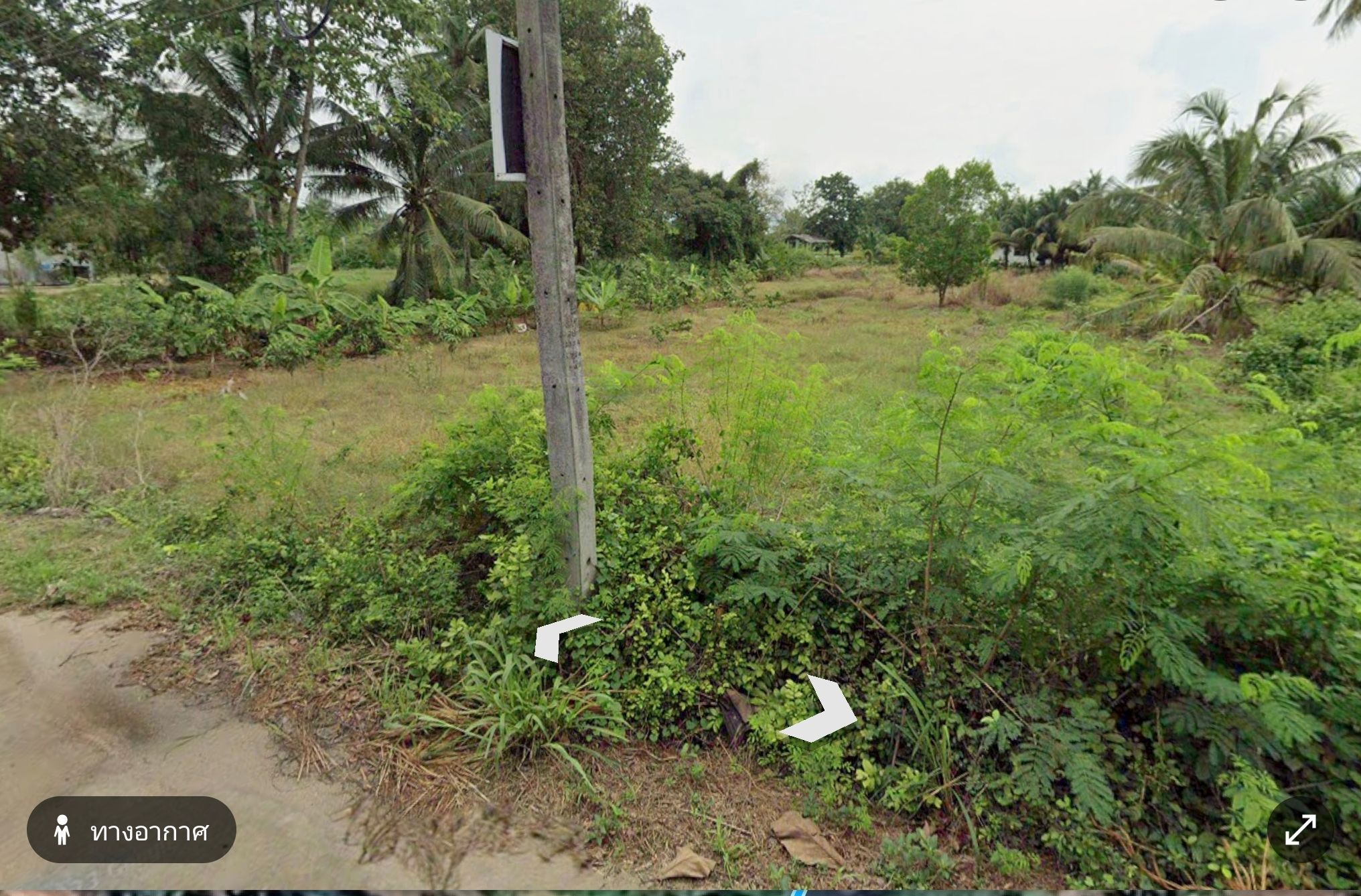 ขายที่ดินทำเลพักอาศัย