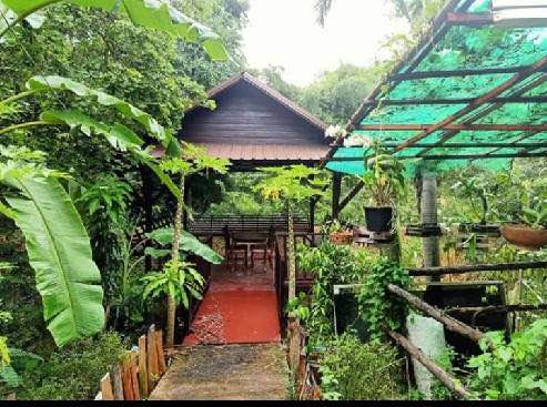 บ้านทรงไทย สวย ขอนแก่น พื้นที่ 1 ไร่