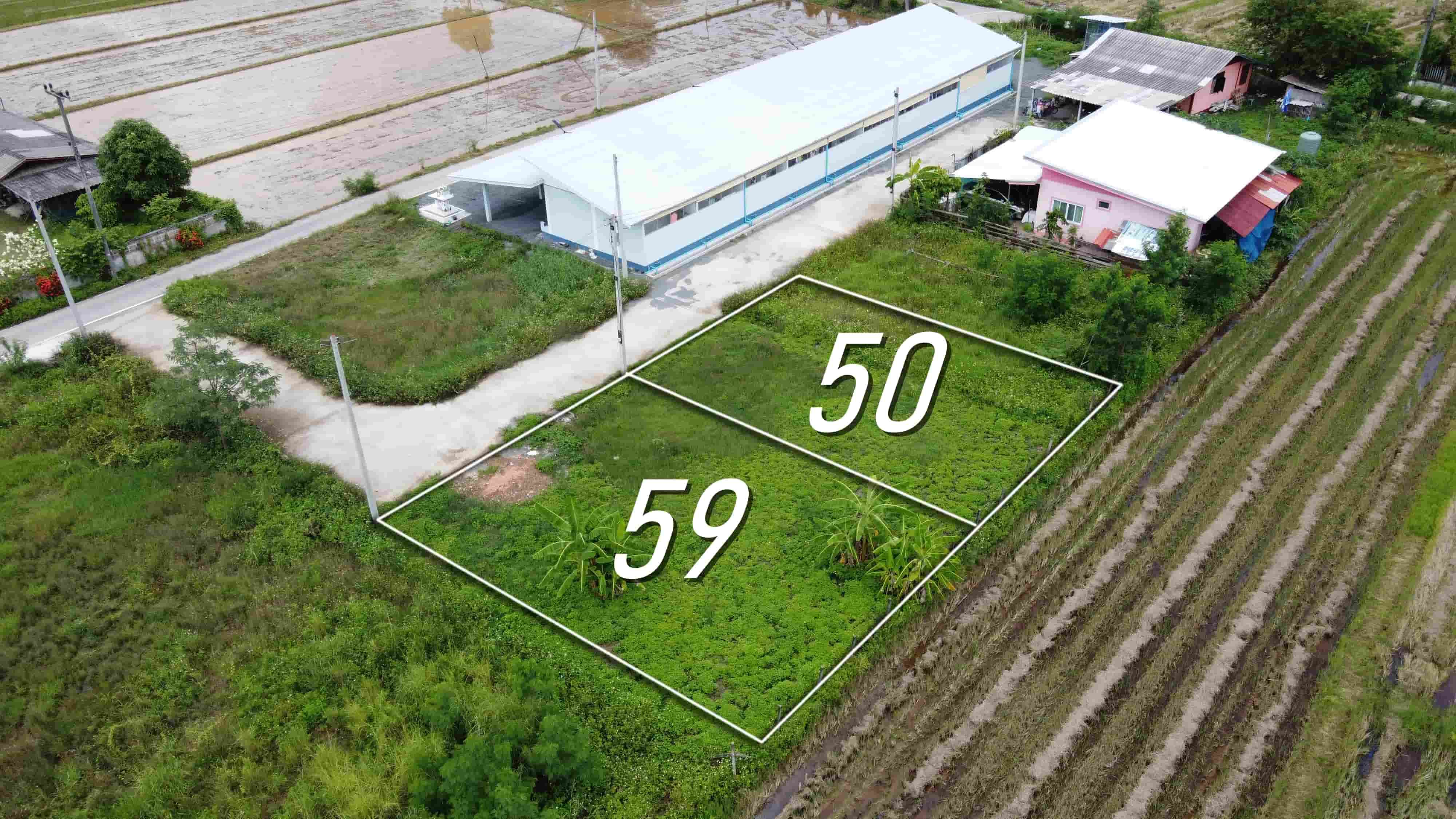 ขายที่ดินเชียงใหม่ สันกำแพง แบ่งขาย 50 และ 59 ตร.ว. เริ่มต้น 300,000 บาท น้ำไฟถนนคอนกรีตพร้อม!