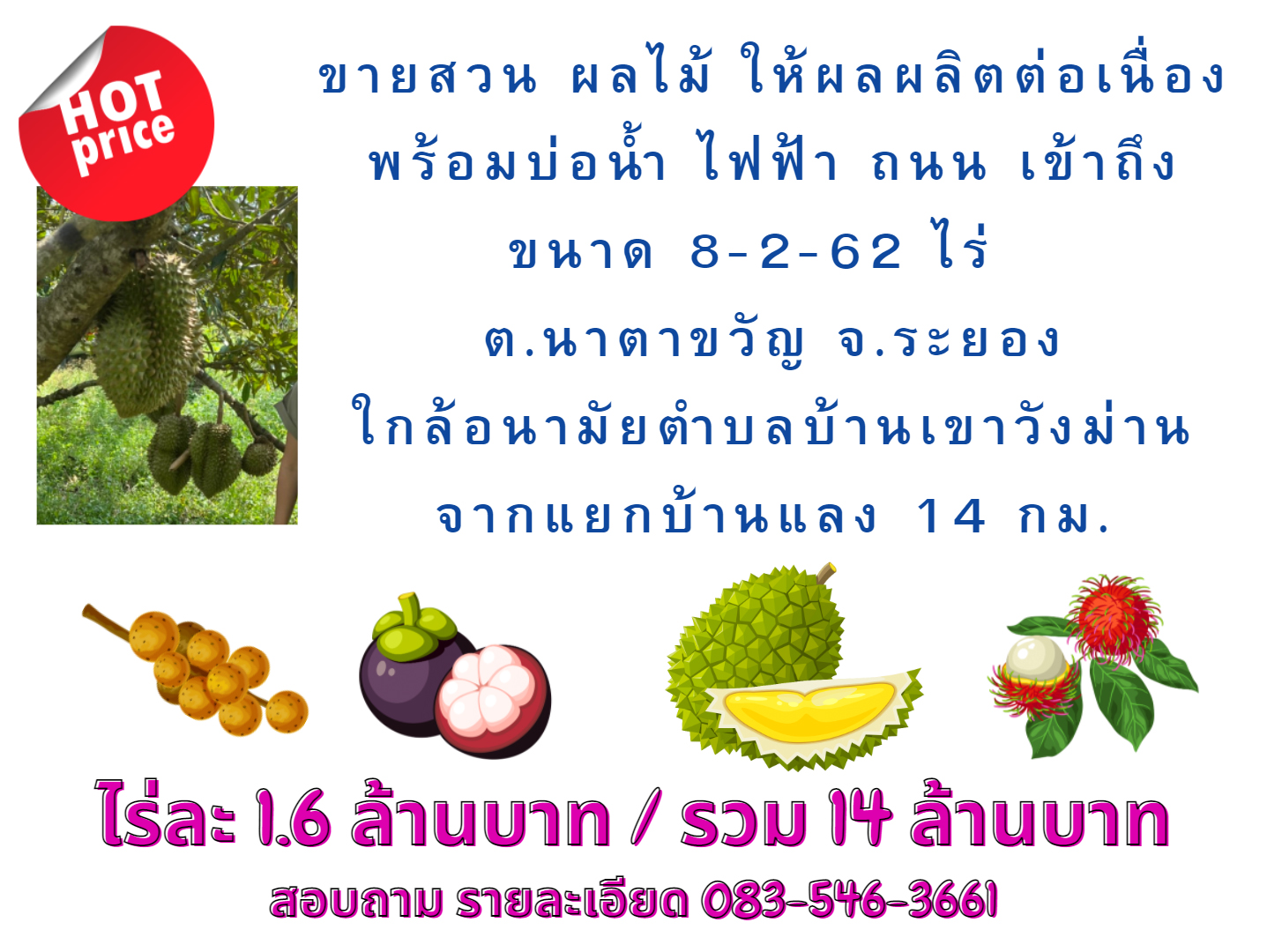 ขายสวนทุเรียน และผลไม้ผสม ให้ผลผลิตต่อเนื่อง พร้อมเก็บเกี่ยว ต.นาตาขวัญ จ.ระยอง 8-2-62 ไร่ เพียง 12 กม. จากถนน สาย 36