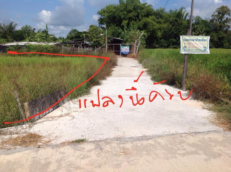 ขายที่ดิน ลำปาง 280 ตรว.