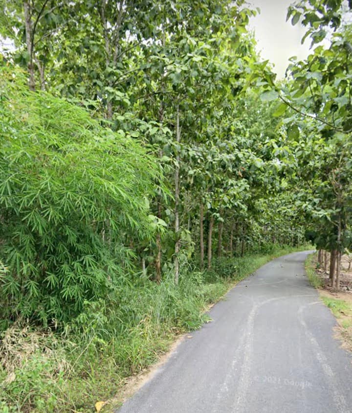 ขายที่ดินน่าน ภูเพียง 4-1-24