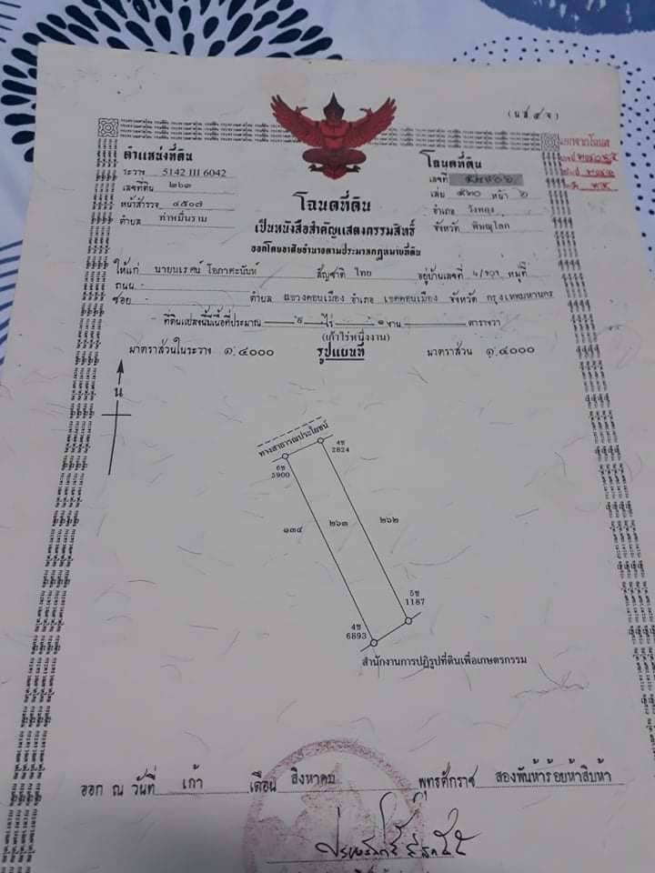 ที่ดินเปล่าวังทอง พิษณุโลก 9-1-0