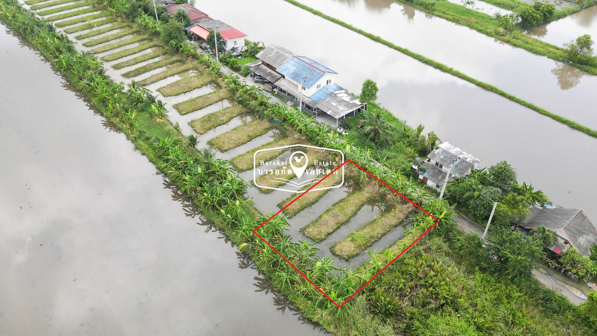  แปลงสวยบรรยากาศดี แหล่งชุมชนไม่แออัด เหมาะสำหรับปลูกบ้าน หรือประกอบธุรกิจ
