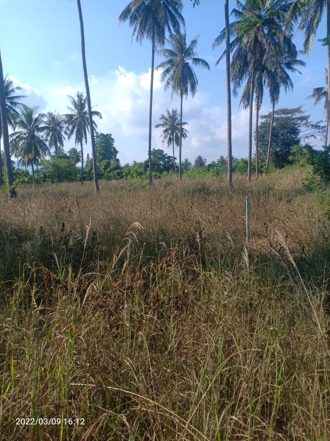ที่ดินติดคลองสาธารณะ ประจวบ 3-3-24.1