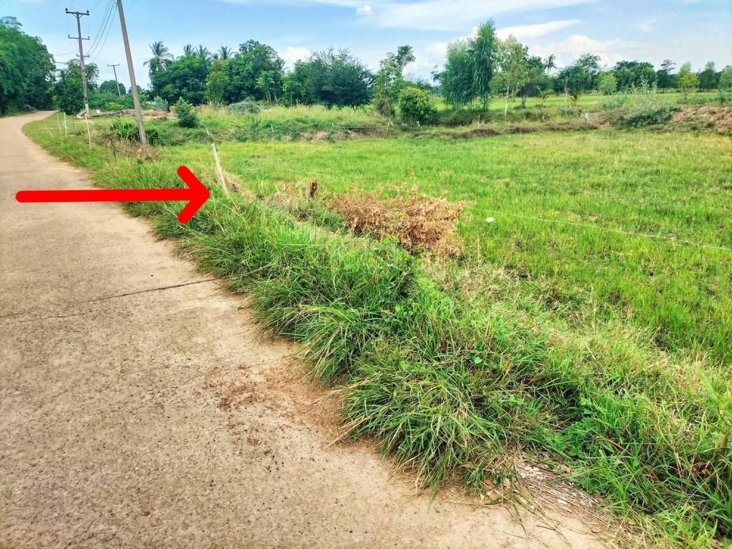 ขายที่ดินแบ่งแปลง สะพานหิน เนื้อที่ 1 ไร่ อยู่ในชุมชน วิวทุ่งนา บรรยากาศบ้านสวน ราคาถูก ฟรีค่าโอน