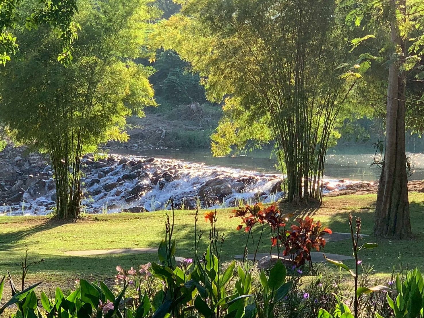 ขายบ้านสวนสระบุรี แก่งคอย บรรยากาศดี สงบ มีสวนผลไม้ ใกล้มอเตอร์เวย์สายบางปะอิน–นครราชสีมา