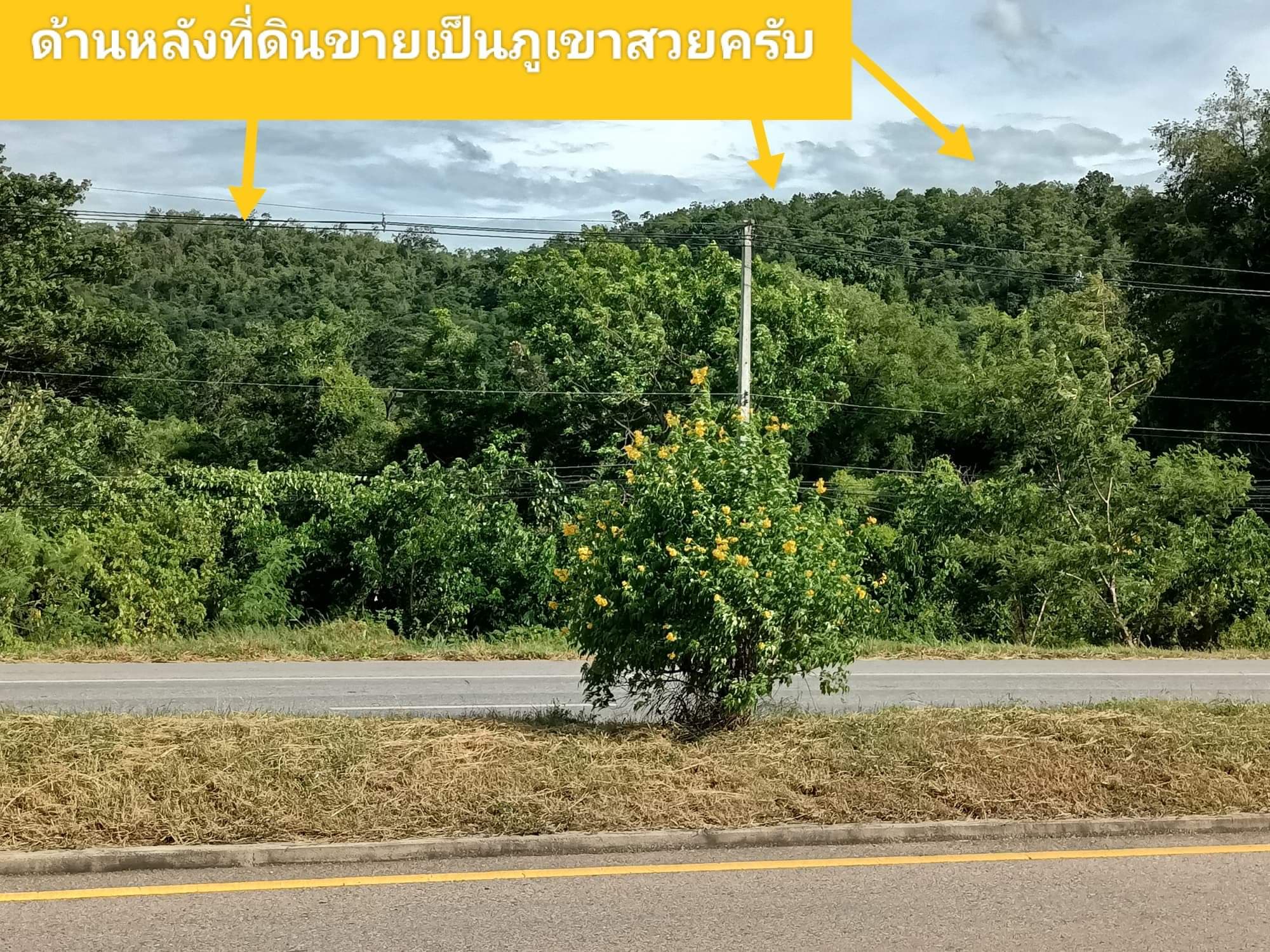 ที่ดินเปล่า อ.เมืองตาก จ.ตาก 7-1-26