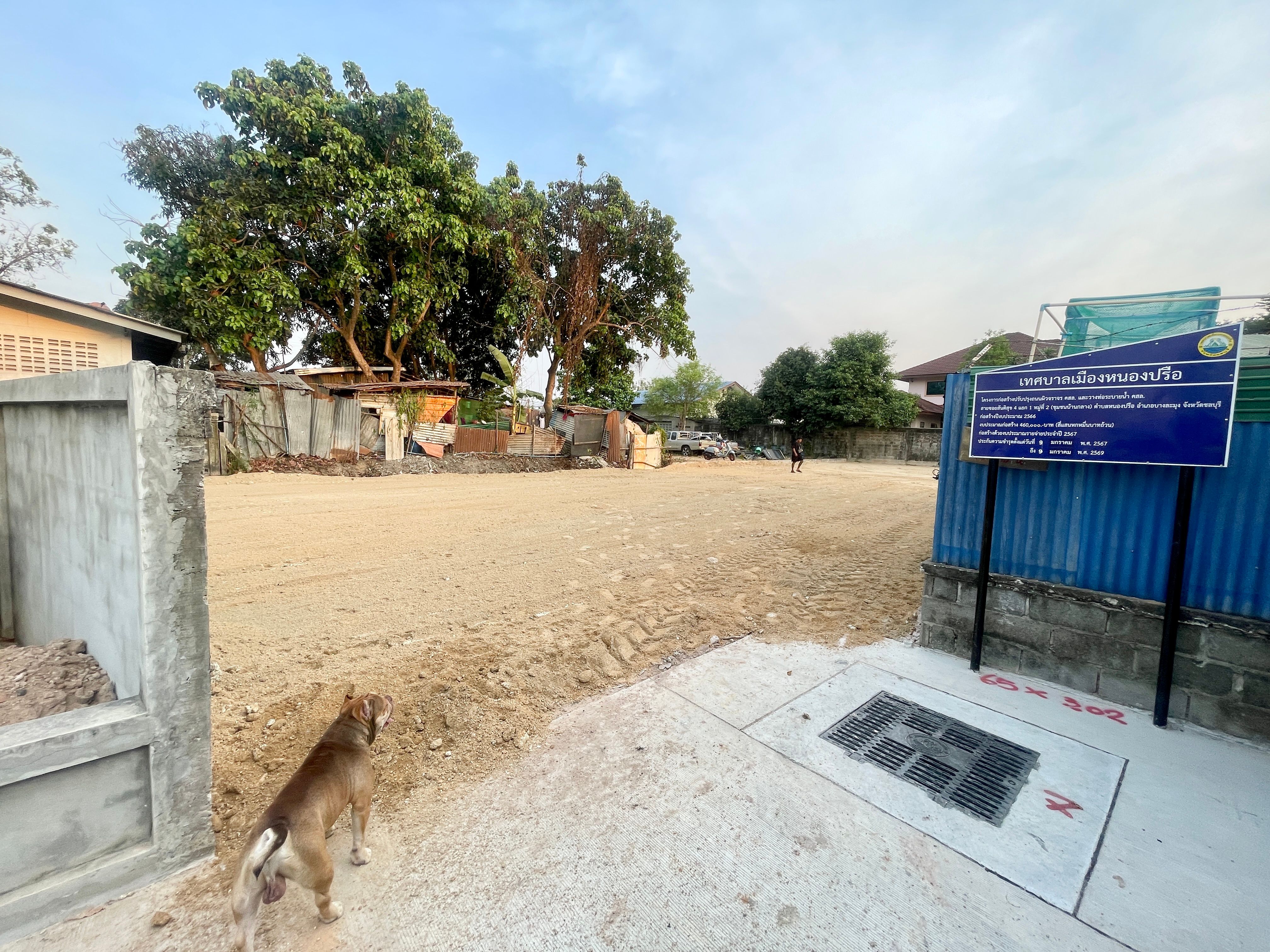 ขายที่ดินหนองปรือ ชลบุรี 402 ต.ร.ว.
