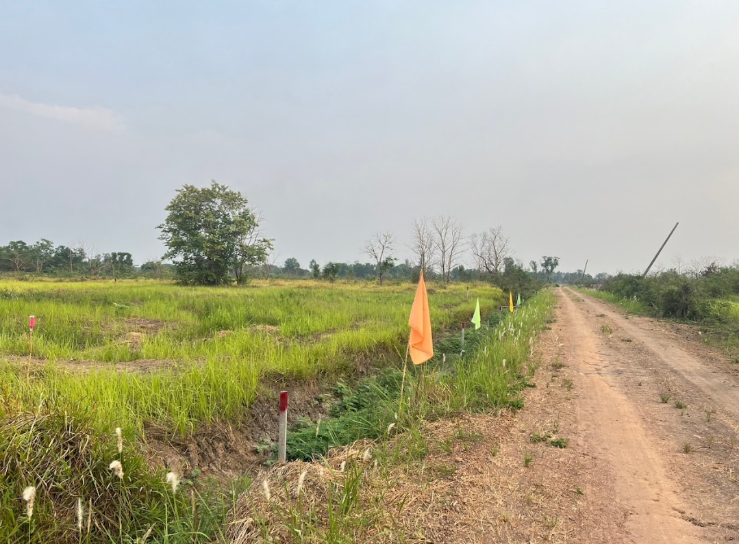 ขายที่ดินปทุมธานี ธัญบุรี แปลงสวย แบ่งขายได้ ติดทางสาธารณะ คลอง 11 ซอยสุรัมพร