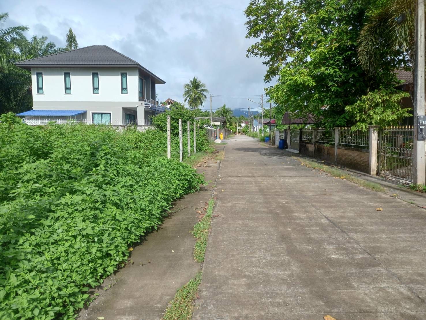 ขายที่ดินพังงา อำเภอทับปุด หลังที่ว่าการอำเภอทับปุด (ต่อรองราคาได้)