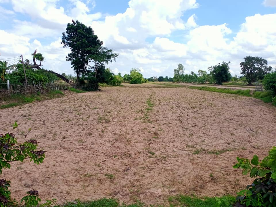 ขายที่ดิน มหาสารคาม 4-2-70 ไร่