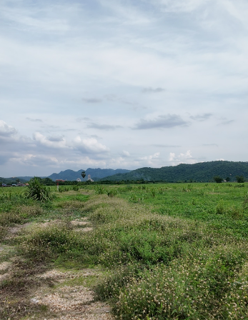 ขายที่ดินสระบุรี อำเภอแก่งคอย ที่ดินแบ่งขาย แปลงสวย ทำเลสวย แบ่งขายเริ่มที่ 1 ไร่. 