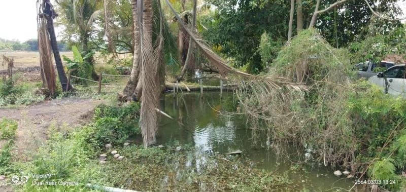 ที่ดินเปล่าปทุมธานี จ.ปทุมธานี อ.หนองเสือ 39-3-97.5 ไร่