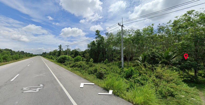 ที่ดินเปล่า เมืองนราธิวาส 5-0-4.3