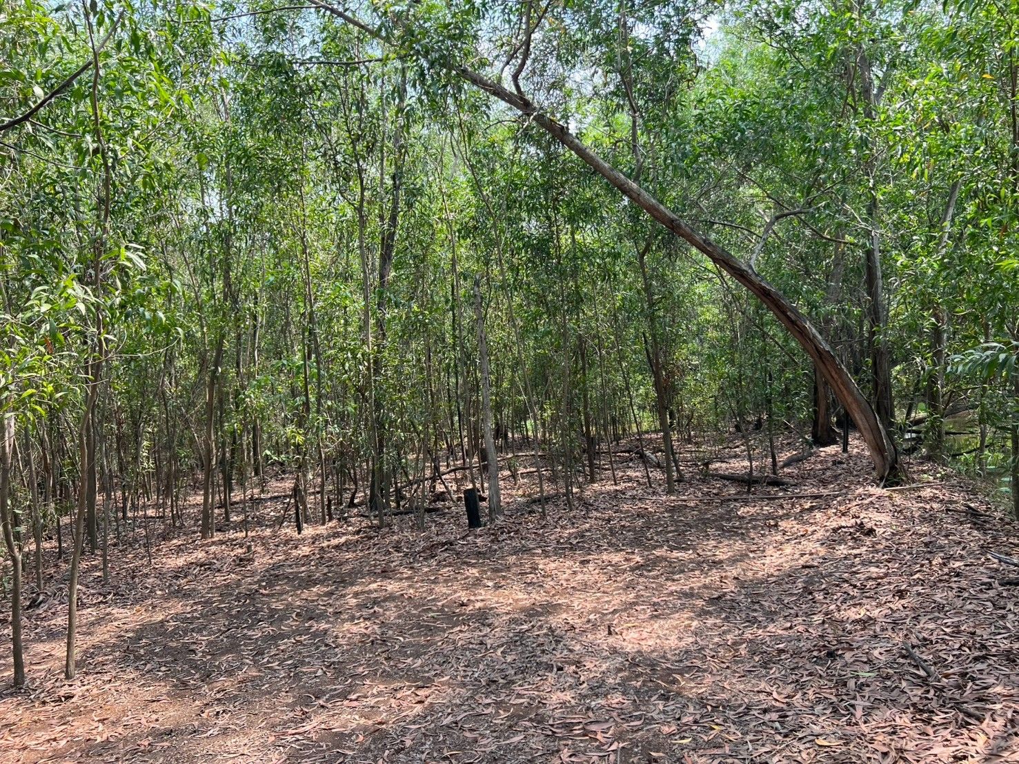 ขายที่ดินคลองสาม คลองหลวง