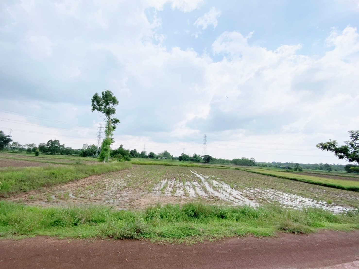 ขายที่ดิน ร้อยเอ็ด 3-3-81 ไร่