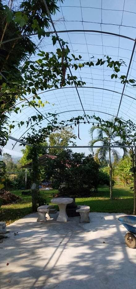 บ้านพร้อมที่ดินเชียงใหม่ 5-2-46