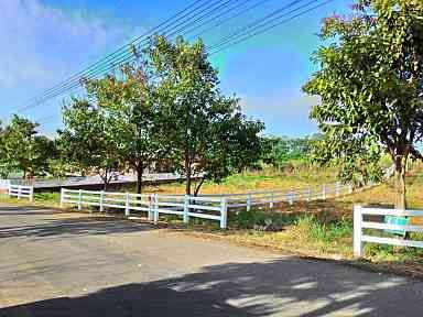 ขายที่ดิน ปากช่อง นครราชสีมา 0-1-97 ไร่