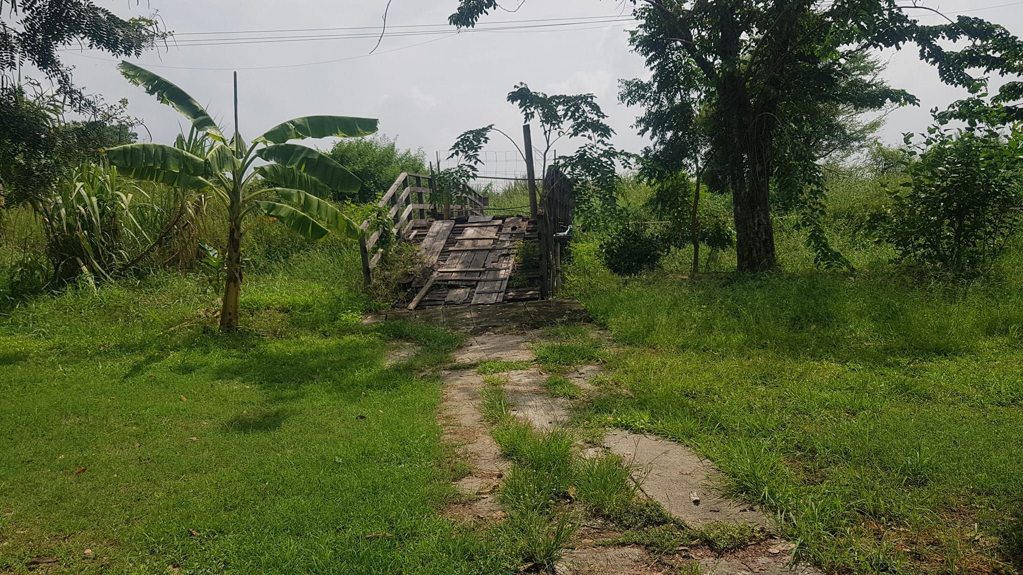 ขายที่ดินสมุทรปราการ อำเภอบางพลี