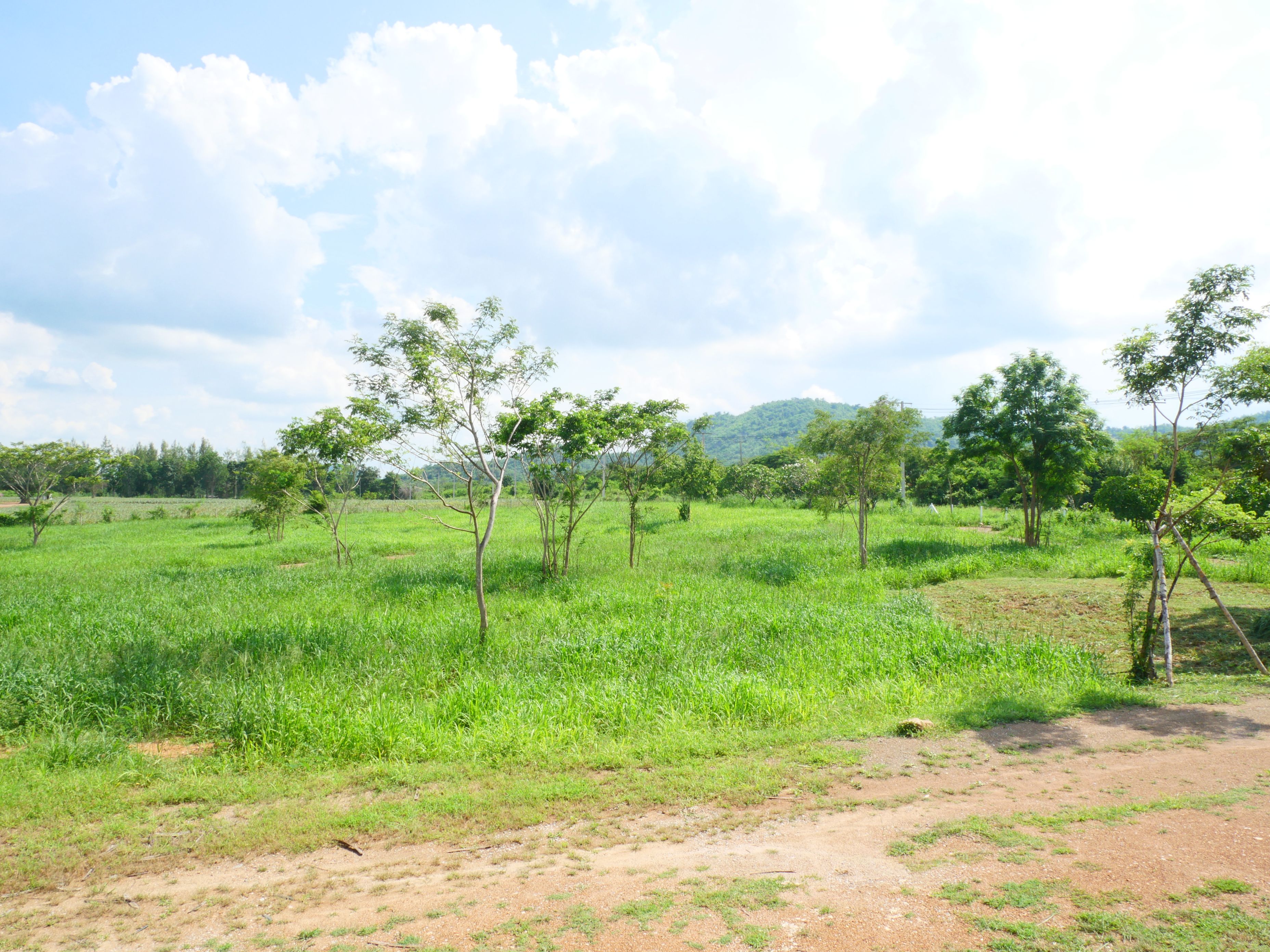 ที่ดินแปลงสวยวิวเขา ติดถนนลาดยาง ล้อมรั้วรอบที่ บนเส้นทางการท่องเที่ยว 182 ไร่ แก่งกระจาน, เพชรบุรี