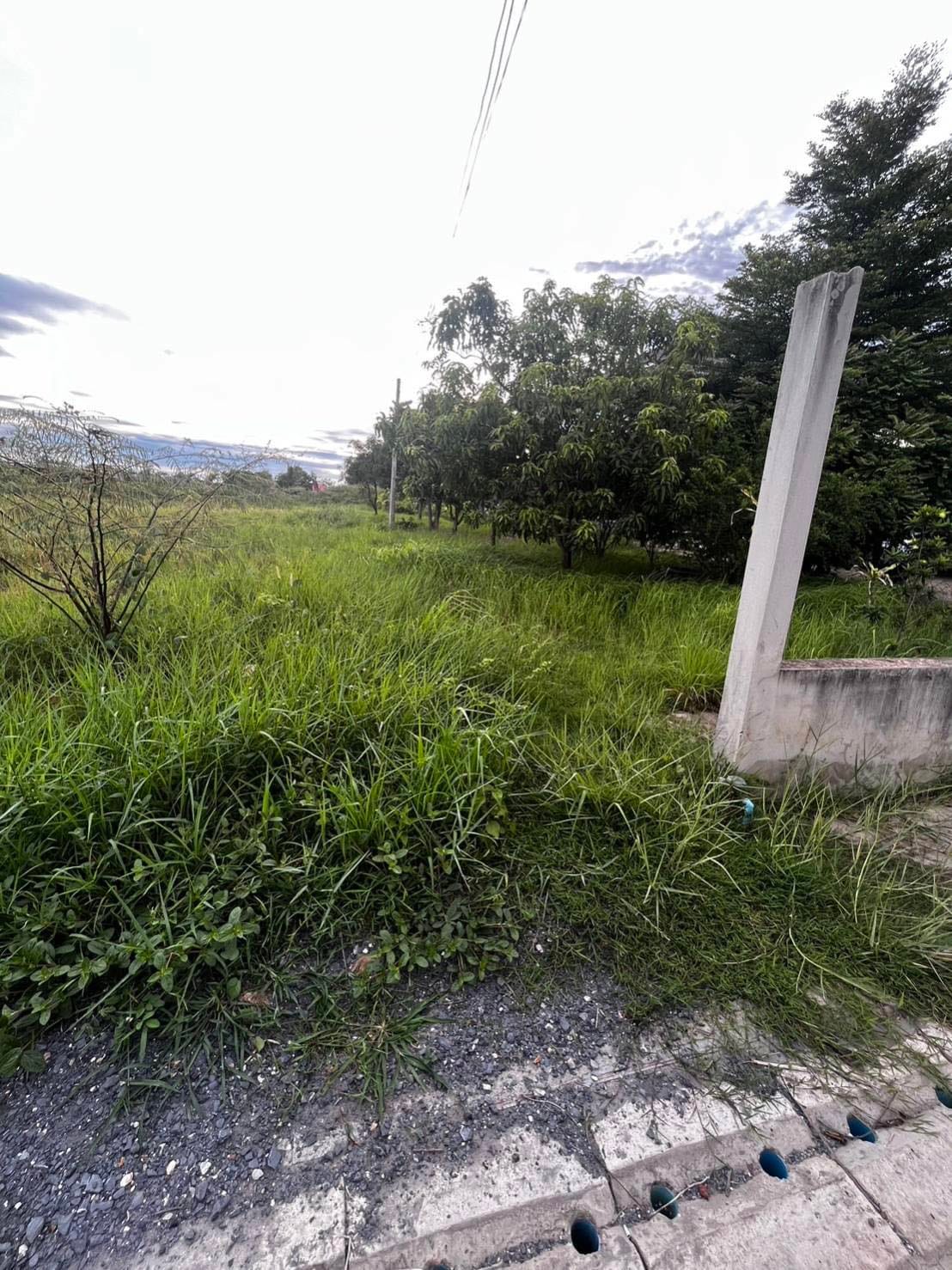 ขายที่ดินเปล่าจังหวัดพิษณุโลก ถมที่แล้ว
