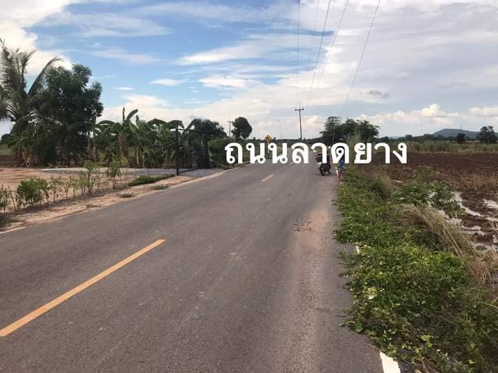 ขายที่ดินพิษณุโลก วัฃทอง 1-0-0