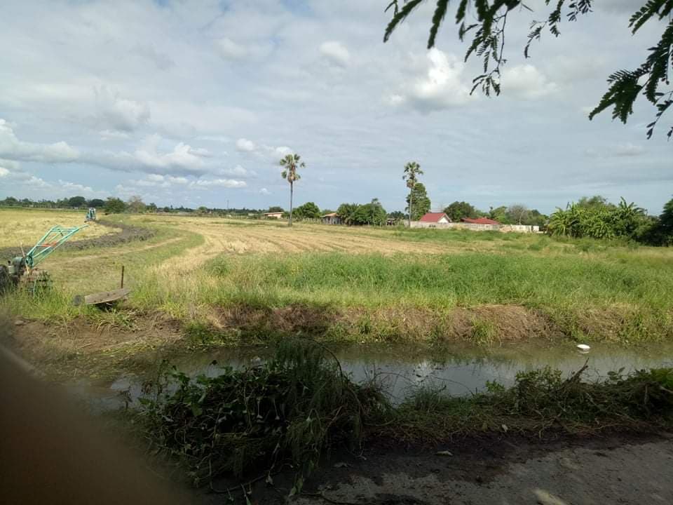 ที่ดินเปล่า ที่นา นครปฐม 7-1-90.6