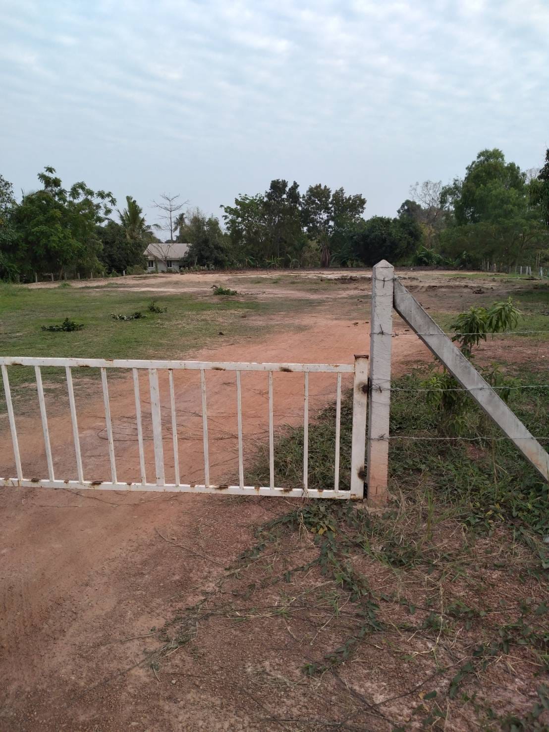 ขายที่ดินหนองคาย เมืองหนองคาย 2-0-72