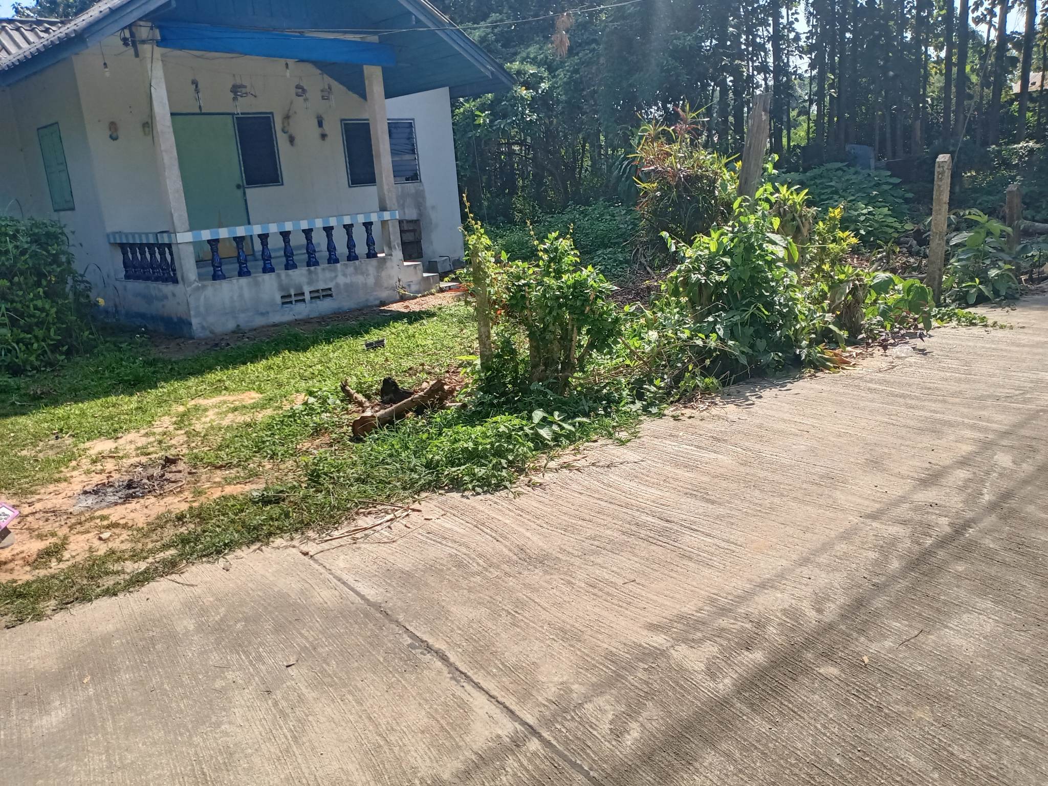 ขายที่ดินพร้อมสิ่งปลูกสร้างเชียงราย จ.เชียงราย อ.พาน 1-1-78 ไร่
