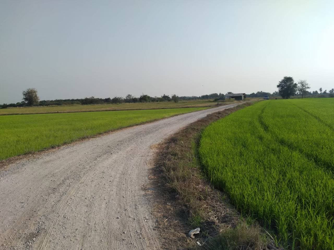 ขายที่ดินเปล่า อ.ศรีประจันต์ จ.สุพรรณฯ 18-2-55