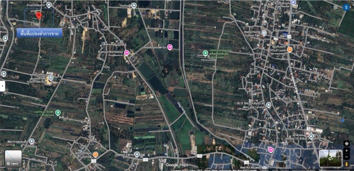 ขายที่ดินหนองช้างคืน ต.หนองช้างคืน อ.เมืองลำพูน จ.ลำพูน