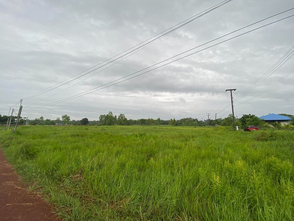 ที่ดินจังหวัดหนองคาย อ.โพนพิสัย หนองคาย 3-1-13 ไร่
