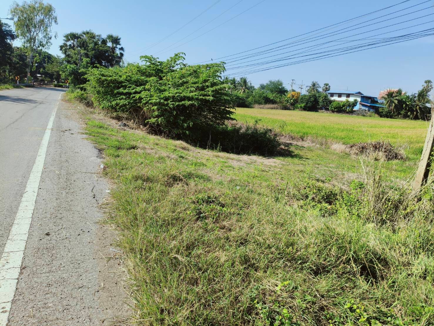 ขายที่ดินนครสวรรค์ อำเภอท่าตะโก ที่เกษตรติดถนน ท่าตะโก นครสวรรค์
