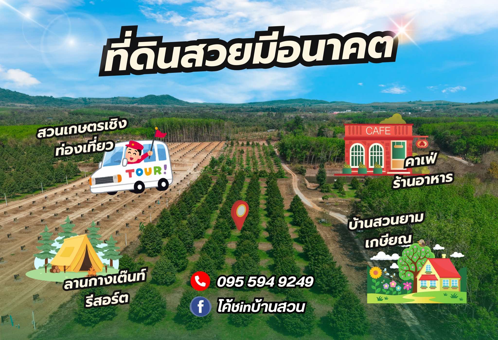 สวนทุเรียนหมอนทอง 