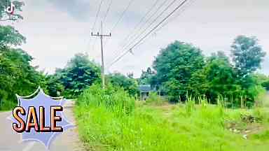 ที่ดินเปล่า ชะอำ เพชรบุรี 50 ตร.ว