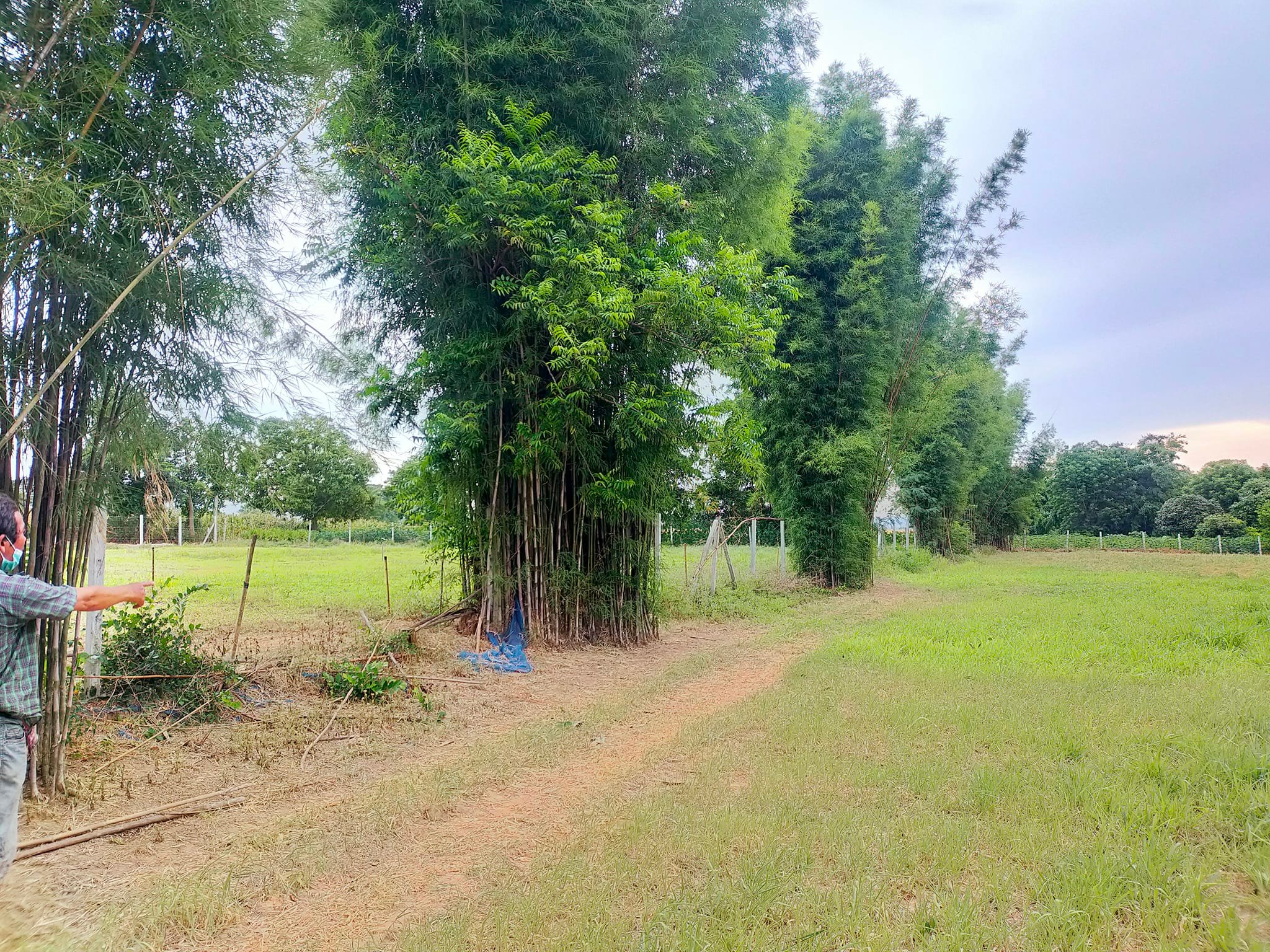 ที่ดินพร้อม อ.ปากช่อง จ.นครราชสีมา 3-1-66ไร่