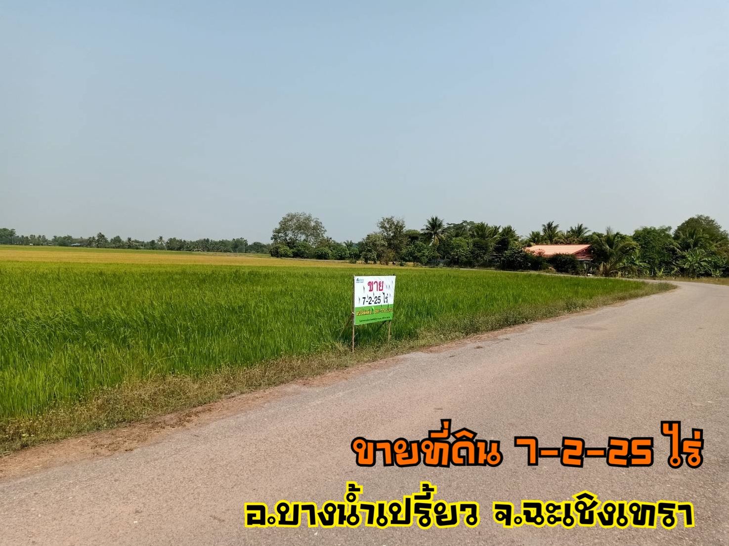 ขายที่ดิน ราคาถูก บางน้ำเปรี้ยว จังหวัดฉะเชิงเทรา