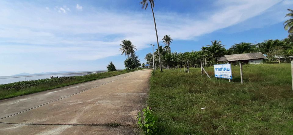 ที่ดินติดชาดหาด หาดสำราญ ตรัง 2-0-87.5 ไร่
