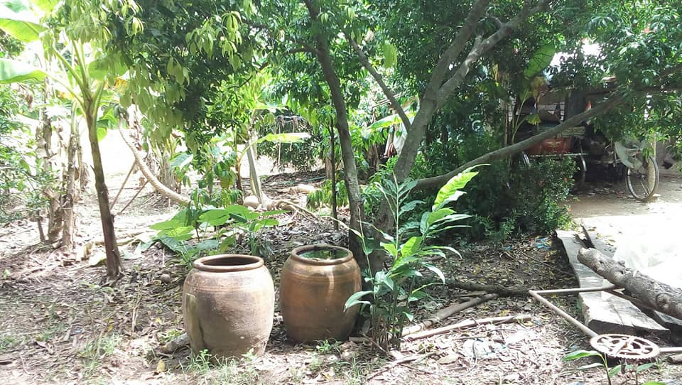 ที่ดินสวนกล้วย มีบ่อบาดาล น้ำ-ไฟเข้าถึง พิษณุโลก 2-3-37.1