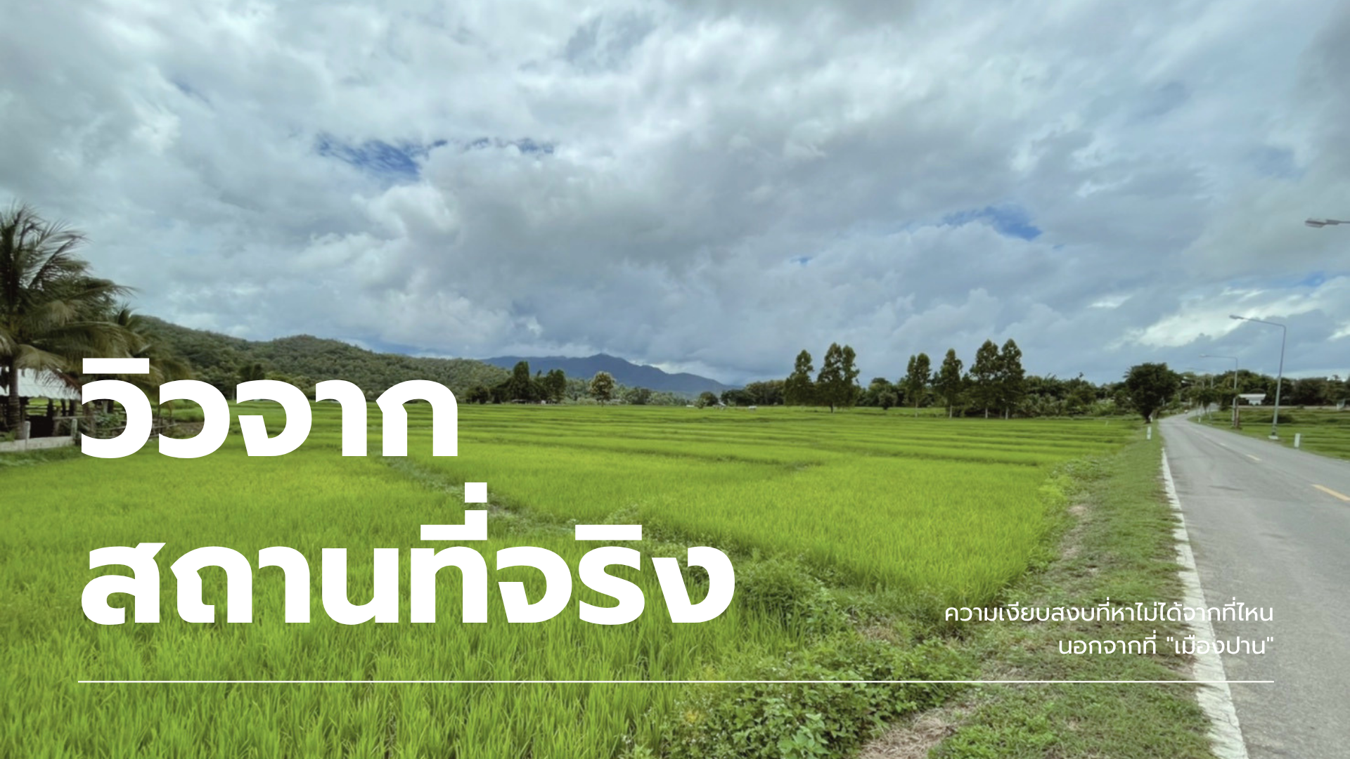ขายที่ดิน 5 แปลงสุดท้ายจากทั้งหมด 8 แปลง! วิวเขา @เมืองปาน จ.ลำปาง - ผ่อนตรงกับเจ้าของได้ 🏔️🌲
