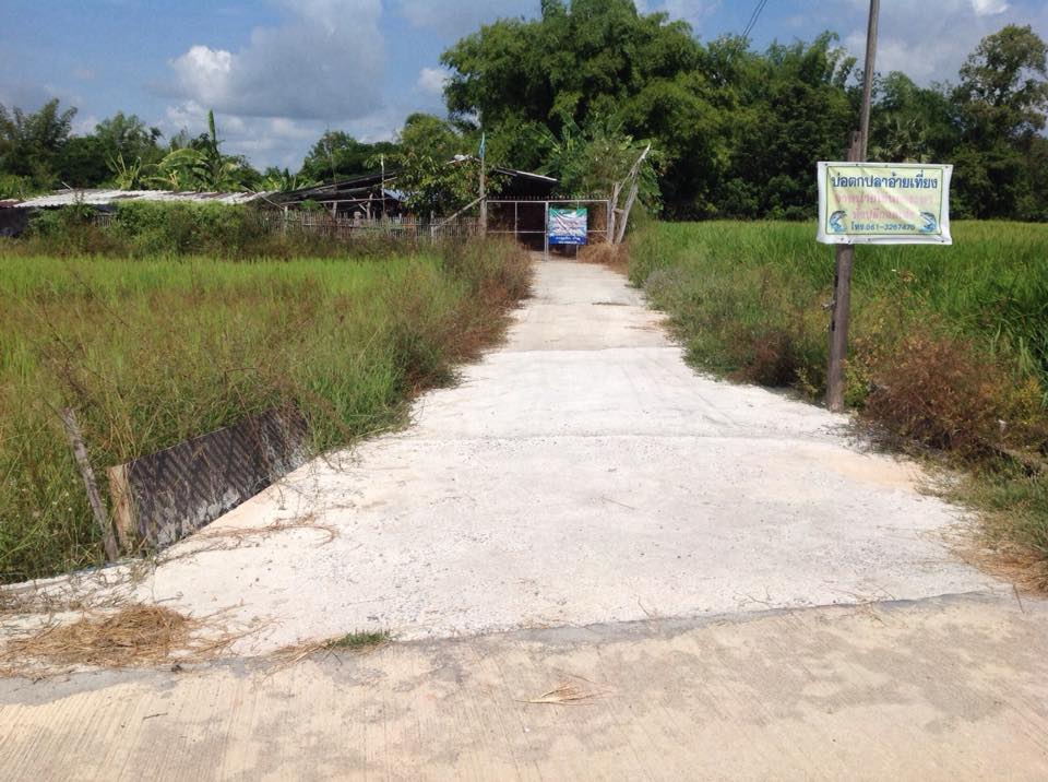 ขายที่ดิน ลำปาง 280 ตรว.