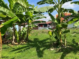 ที่ดินห่างจากแม่น้ำโขงประมาณ50เมตร หนองคาย 175 ตรว.