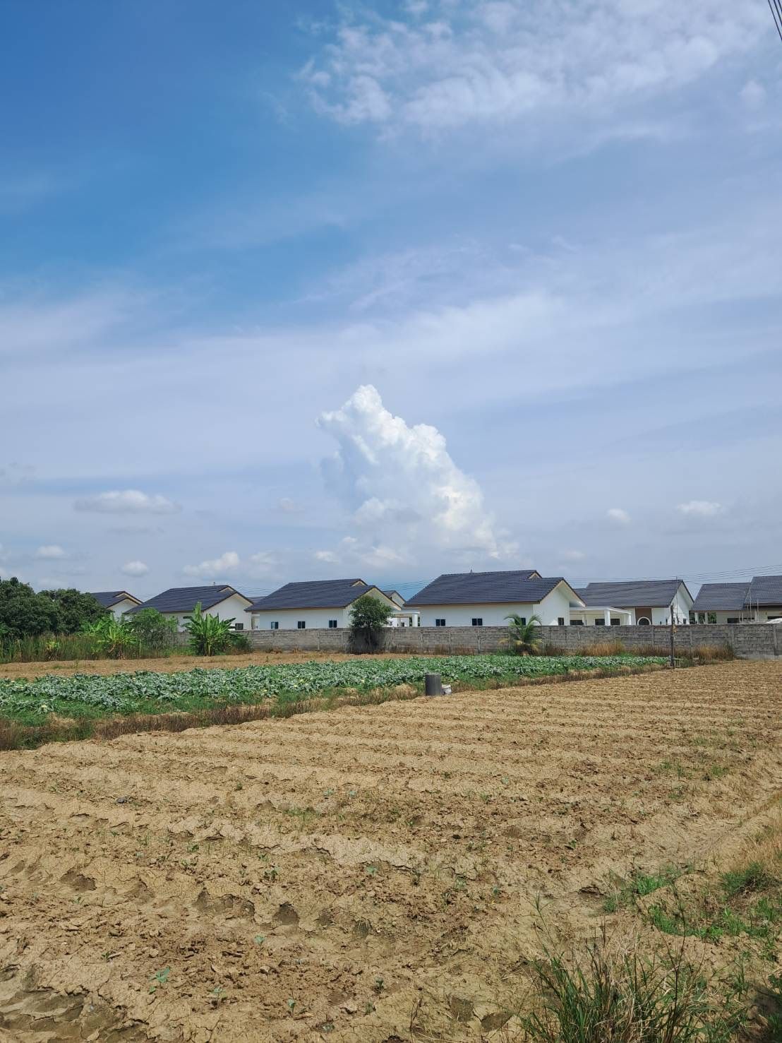 ขายที่ดิน สารภี เชียงใหม่