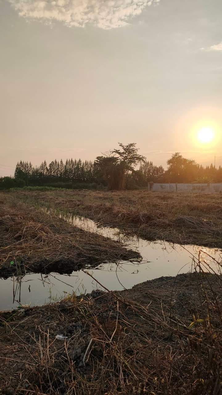 ที่ดินในเขตอุตสาหกรรม