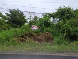 ที่ดินเปล่า กาฬสินธุ์