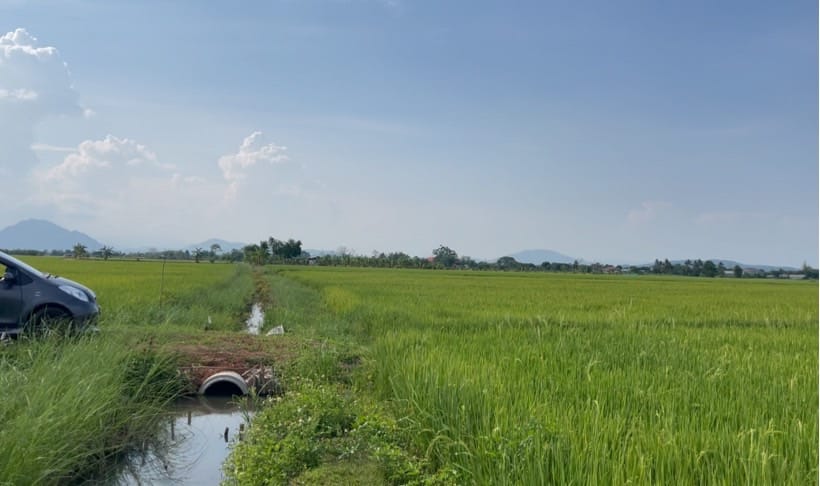 ขายที่ดินการเกษตร แม่สาย เชียงราย 9-0-57.5 